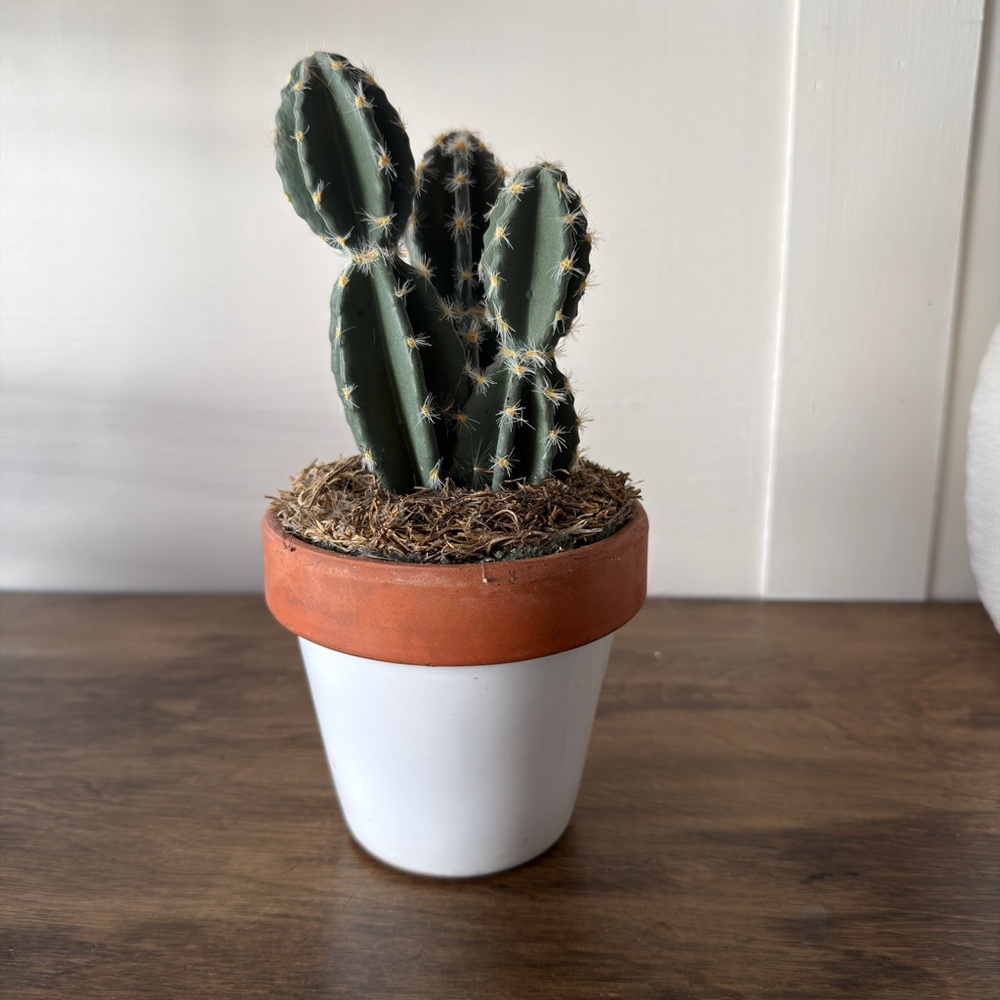 Faux potted cactus